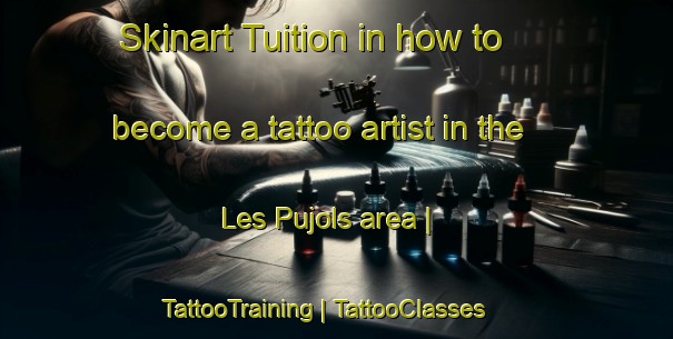 Skinart Tuition in how to become a tattoo artist in the Les Pujols area | TattooTraining | TattooClasses | SkinartTraining-France